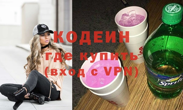 гидра Инта