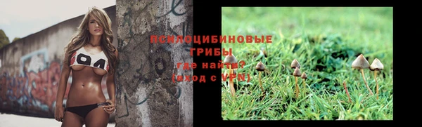 амфетамин Каменка