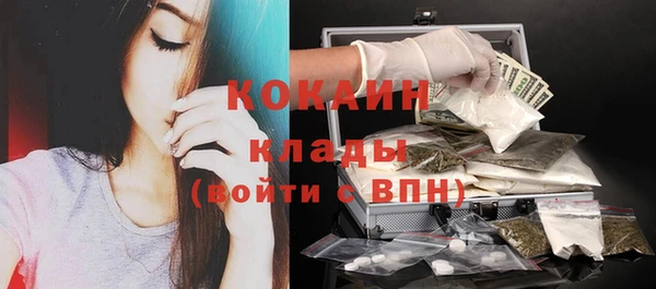 тгк Каменногорск