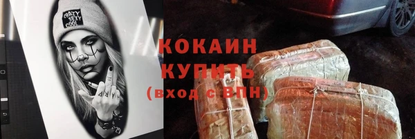 тгк Каменногорск