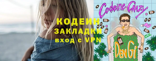 гидра Инта