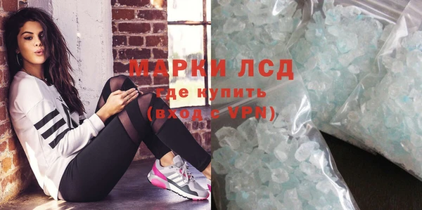 гидра Инта