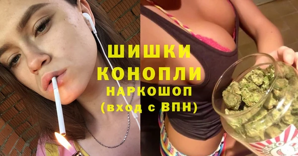 тгк Каменногорск