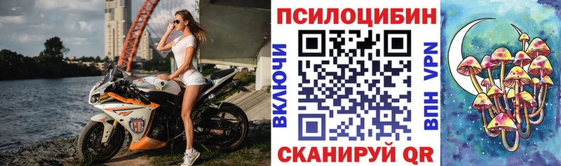 Купить закладки  Славянск-на-Кубани  Галлюциногенные грибы прущие грибы 